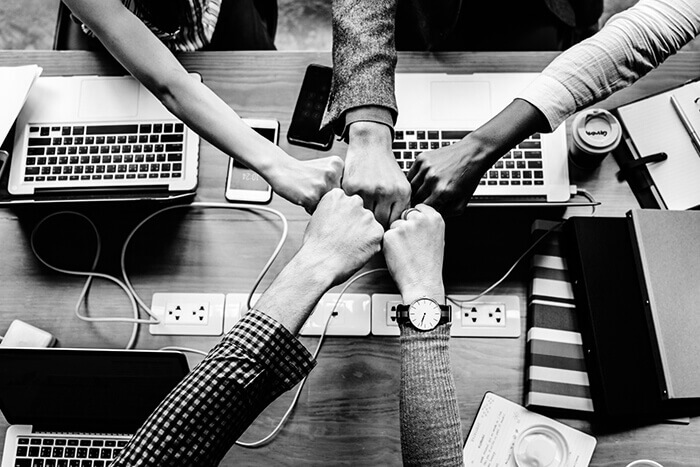 探索我們的團隊