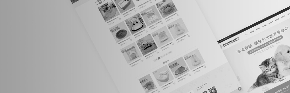 電商平臺設計開發(fā)