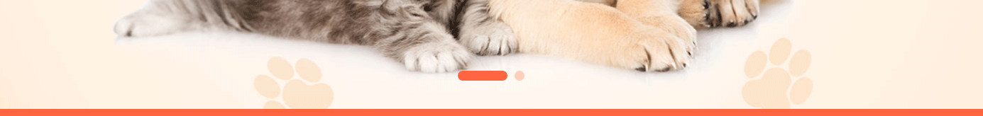 深圳網(wǎng)站設(shè)計(jì)公司_高端定制設(shè)計(jì)網(wǎng)站_營(yíng)銷(xiāo)型網(wǎng)站設(shè)計(jì)制作_深圳網(wǎng)站建設(shè)