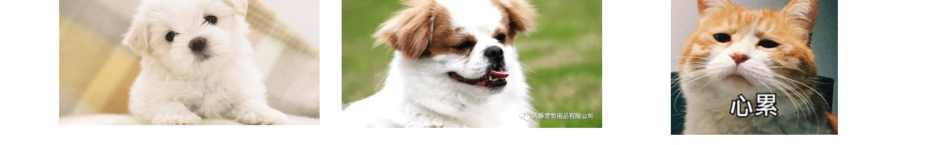 深圳網(wǎng)站設(shè)計(jì)公司_高端定制設(shè)計(jì)網(wǎng)站_營(yíng)銷(xiāo)型網(wǎng)站設(shè)計(jì)制作_深圳網(wǎng)站建設(shè)