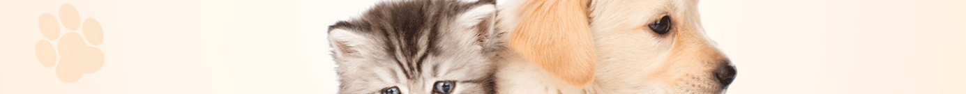 深圳網(wǎng)站設(shè)計(jì)公司_高端定制設(shè)計(jì)網(wǎng)站_營(yíng)銷(xiāo)型網(wǎng)站設(shè)計(jì)制作_深圳網(wǎng)站建設(shè)