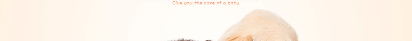 深圳網(wǎng)站設(shè)計(jì)公司_高端定制設(shè)計(jì)網(wǎng)站_營(yíng)銷(xiāo)型網(wǎng)站設(shè)計(jì)制作_深圳網(wǎng)站建設(shè)