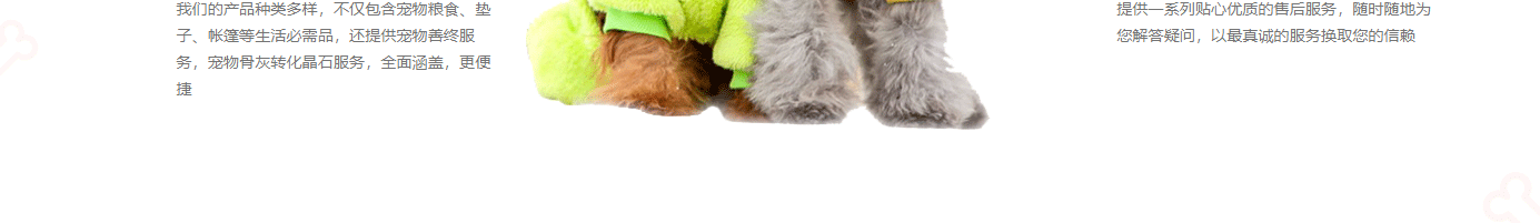 深圳網(wǎng)站設(shè)計(jì)公司_高端定制設(shè)計(jì)網(wǎng)站_營(yíng)銷(xiāo)型網(wǎng)站設(shè)計(jì)制作_深圳網(wǎng)站建設(shè)