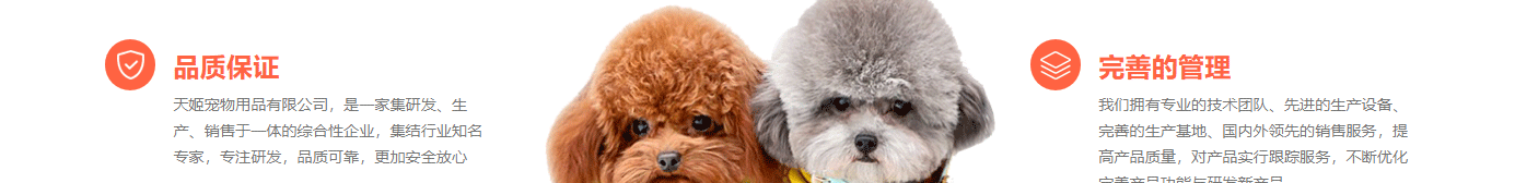 深圳網(wǎng)站設(shè)計(jì)公司_高端定制設(shè)計(jì)網(wǎng)站_營(yíng)銷(xiāo)型網(wǎng)站設(shè)計(jì)制作_深圳網(wǎng)站建設(shè)