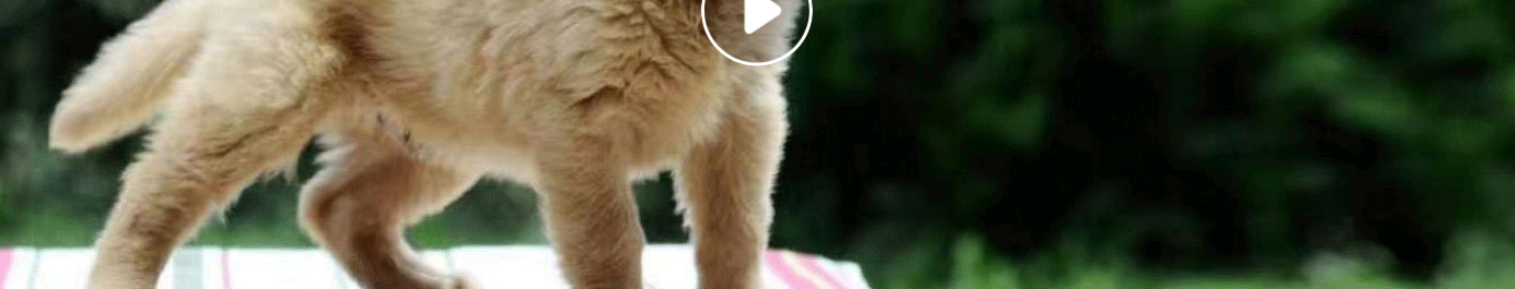 深圳網(wǎng)站設(shè)計(jì)公司_高端定制設(shè)計(jì)網(wǎng)站_營(yíng)銷(xiāo)型網(wǎng)站設(shè)計(jì)制作_深圳網(wǎng)站建設(shè)