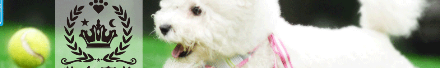 深圳網(wǎng)站設(shè)計(jì)公司_高端定制設(shè)計(jì)網(wǎng)站_營(yíng)銷(xiāo)型網(wǎng)站設(shè)計(jì)制作_深圳網(wǎng)站建設(shè)