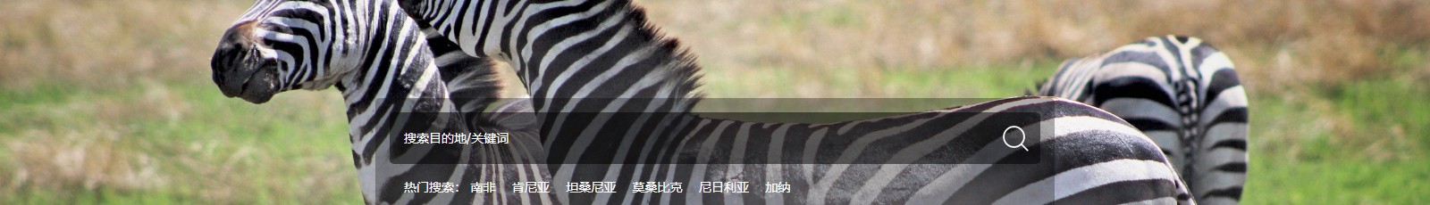 深圳網(wǎng)站設(shè)計(jì)公司_高端定制設(shè)計(jì)網(wǎng)站_營(yíng)銷(xiāo)型網(wǎng)站設(shè)計(jì)制作_深圳網(wǎng)站建設(shè)