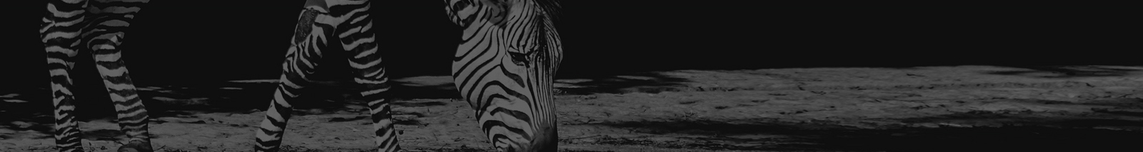 深圳網(wǎng)站設(shè)計(jì)公司_高端定制設(shè)計(jì)網(wǎng)站_營(yíng)銷(xiāo)型網(wǎng)站設(shè)計(jì)制作_深圳網(wǎng)站建設(shè)