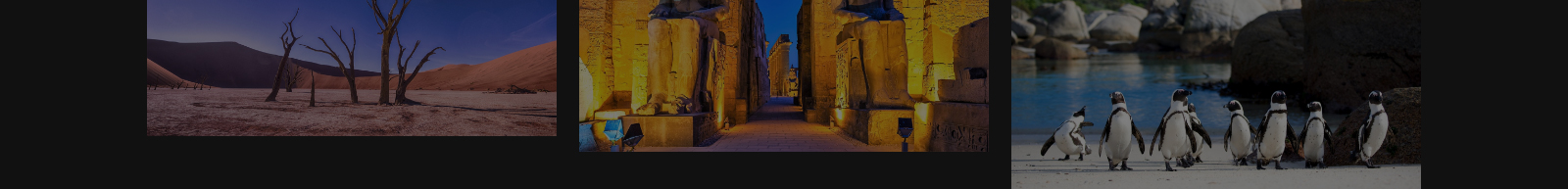 深圳網(wǎng)站設(shè)計(jì)公司_高端定制設(shè)計(jì)網(wǎng)站_營(yíng)銷(xiāo)型網(wǎng)站設(shè)計(jì)制作_深圳網(wǎng)站建設(shè)