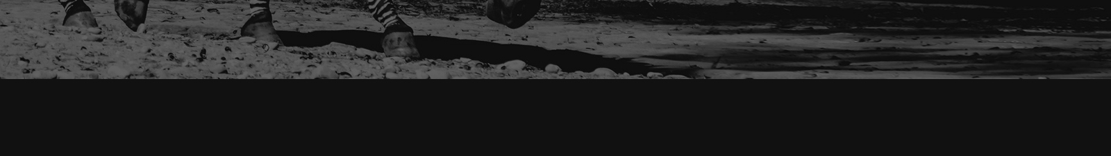 深圳網(wǎng)站設(shè)計(jì)公司_高端定制設(shè)計(jì)網(wǎng)站_營(yíng)銷(xiāo)型網(wǎng)站設(shè)計(jì)制作_深圳網(wǎng)站建設(shè)