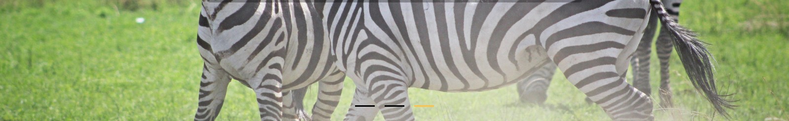 深圳網(wǎng)站設(shè)計(jì)公司_高端定制設(shè)計(jì)網(wǎng)站_營(yíng)銷(xiāo)型網(wǎng)站設(shè)計(jì)制作_深圳網(wǎng)站建設(shè)