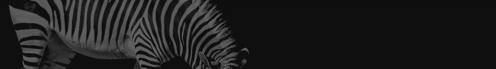 深圳網(wǎng)站設(shè)計(jì)公司_高端定制設(shè)計(jì)網(wǎng)站_營(yíng)銷(xiāo)型網(wǎng)站設(shè)計(jì)制作_深圳網(wǎng)站建設(shè)