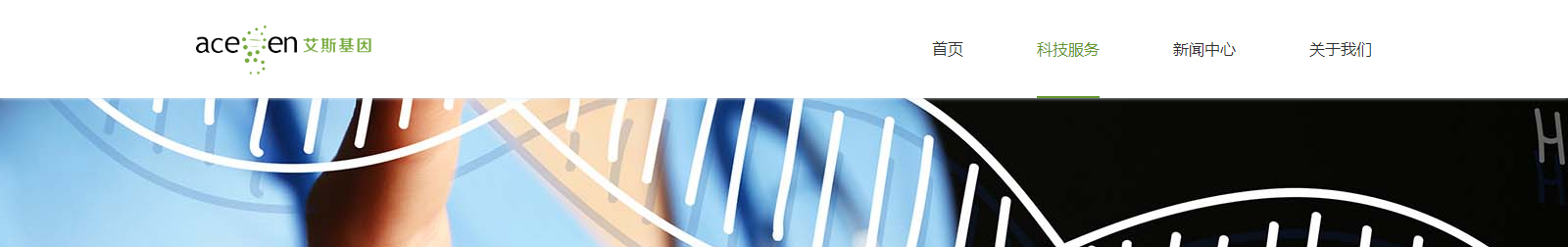 深圳網站設計公司_高端定制設計網站_營銷型網站設計制作_深圳網站建設