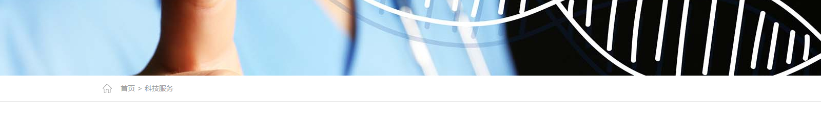 深圳網站設計公司_高端定制設計網站_營銷型網站設計制作_深圳網站建設