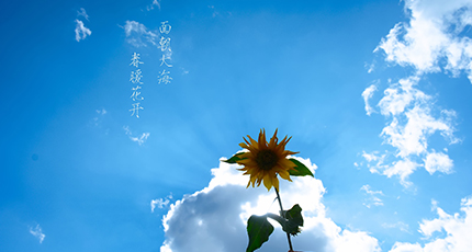 洛壹，都喜歡這樣的人~