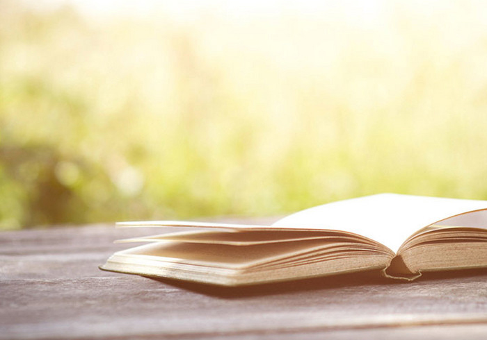 智狼邦教育集團(tuán)