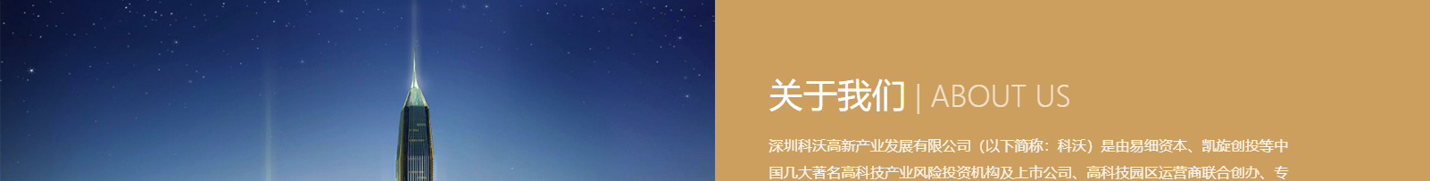 深圳網(wǎng)站設(shè)計(jì)公司_高端定制設(shè)計(jì)網(wǎng)站_營銷型網(wǎng)站設(shè)計(jì)制作_深圳網(wǎng)站建設(shè)