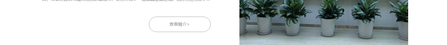深圳網(wǎng)站設(shè)計(jì)公司_高端定制設(shè)計(jì)網(wǎng)站_營(yíng)銷型網(wǎng)站設(shè)計(jì)制作_深圳網(wǎng)站建設(shè)