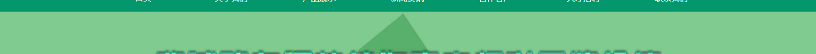 網(wǎng)站建設(shè)設(shè)計案例_營銷型網(wǎng)站制作案例