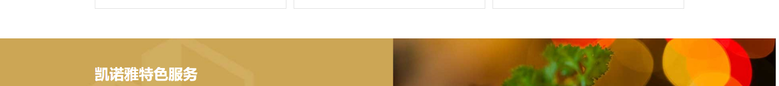 網(wǎng)站建設(shè)設(shè)計(jì)案例_營(yíng)銷型網(wǎng)站制作案例