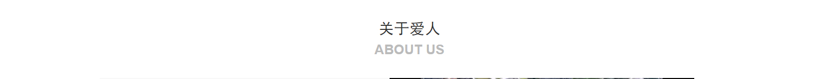 網(wǎng)站建設設計案例_營銷型網(wǎng)站制作案例