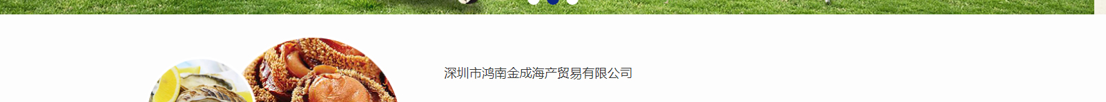 網(wǎng)站建設(shè)設(shè)計案例_營銷型網(wǎng)站制作案例