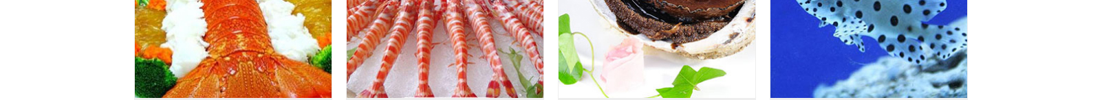 網(wǎng)站建設(shè)設(shè)計案例_營銷型網(wǎng)站制作案例