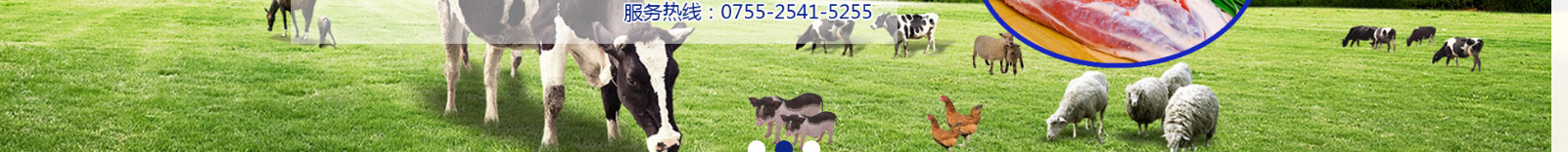 網(wǎng)站建設(shè)設(shè)計案例_營銷型網(wǎng)站制作案例