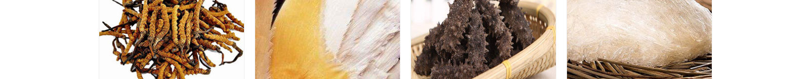 網(wǎng)站建設(shè)設(shè)計案例_營銷型網(wǎng)站制作案例