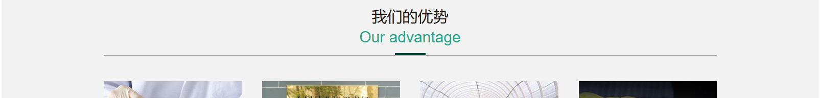 網(wǎng)站建設(shè)設(shè)計案例_營銷型網(wǎng)站制作案例