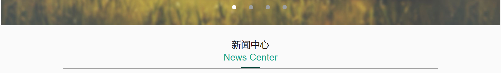 網(wǎng)站建設(shè)設(shè)計案例_營銷型網(wǎng)站制作案例