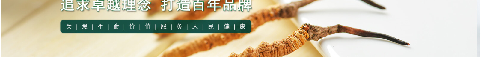 網(wǎng)站建設(shè)設(shè)計案例_營銷型網(wǎng)站制作案例