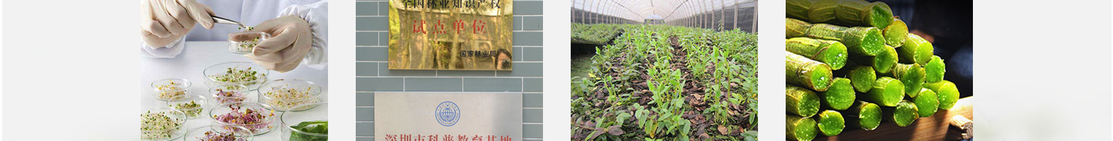 網(wǎng)站建設(shè)設(shè)計案例_營銷型網(wǎng)站制作案例