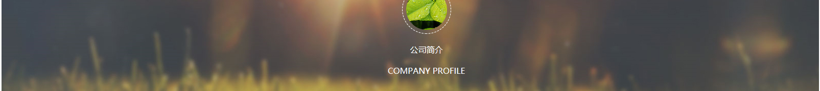 網(wǎng)站建設(shè)設(shè)計案例_營銷型網(wǎng)站制作案例