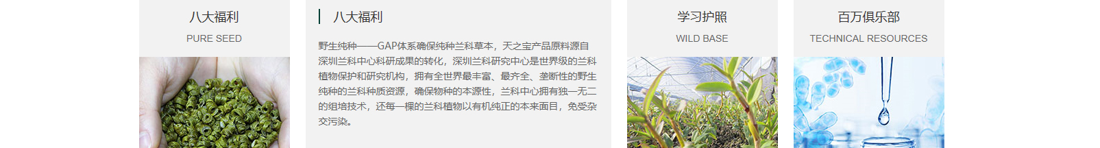 網(wǎng)站建設(shè)設(shè)計案例_營銷型網(wǎng)站制作案例