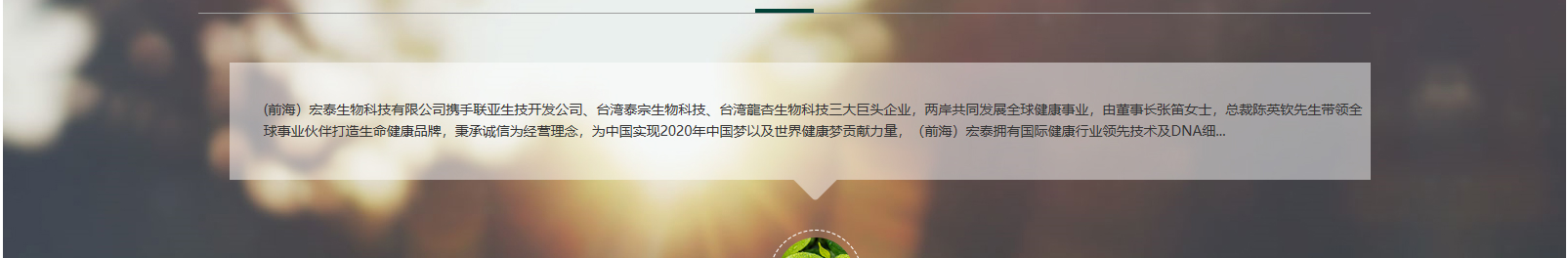 網(wǎng)站建設(shè)設(shè)計案例_營銷型網(wǎng)站制作案例