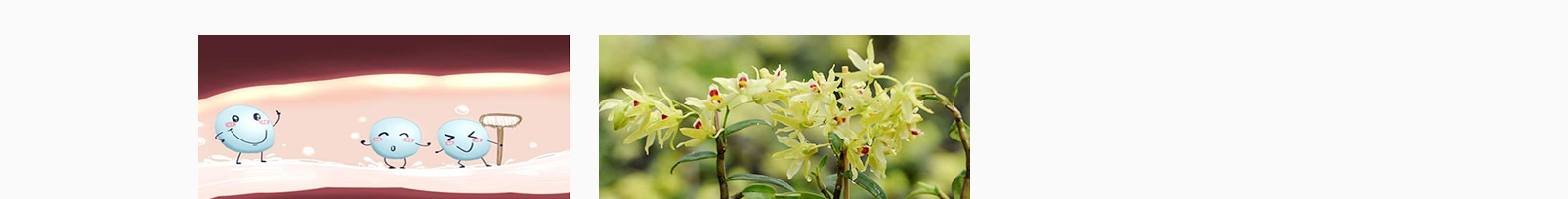 網(wǎng)站建設(shè)設(shè)計案例_營銷型網(wǎng)站制作案例