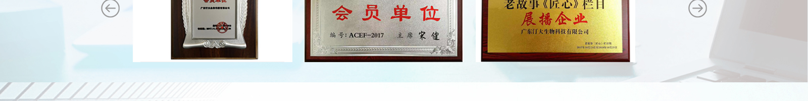 網(wǎng)站建設(shè)設(shè)計(jì)案例_營銷型網(wǎng)站制作案例