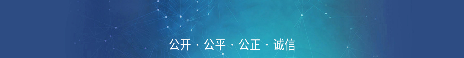 網(wǎng)站建設設計案例_營銷型網(wǎng)站制作案例