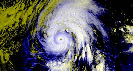 臺風“鸚鵡”洛壹網絡安全須知