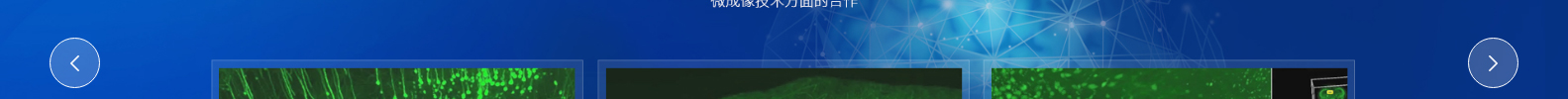 合肥百會拓知科技有限公司_響應(yīng)式網(wǎng)站建設(shè)設(shè)計(jì)案例