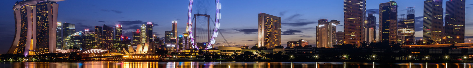 中鑫海外集團_集團網站建設案例_洛壹網絡建站案例