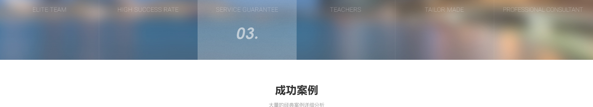 中鑫海外集團_集團網站建設案例_洛壹網絡建站案例