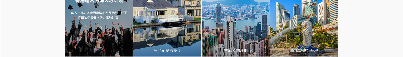 中鑫海外集團_集團網站建設案例_洛壹網絡建站案例