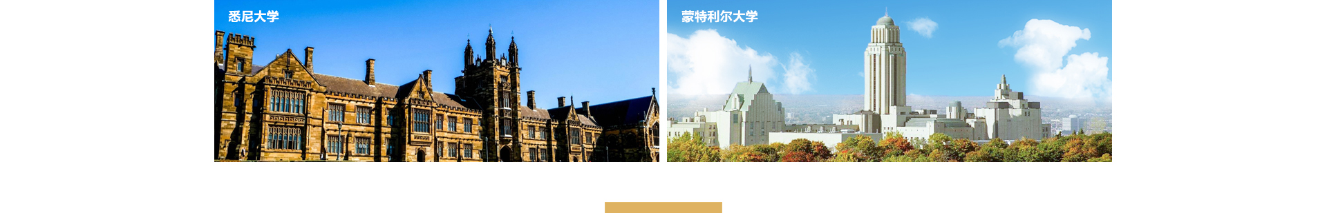 中鑫海外集團_集團網站建設案例_洛壹網絡建站案例