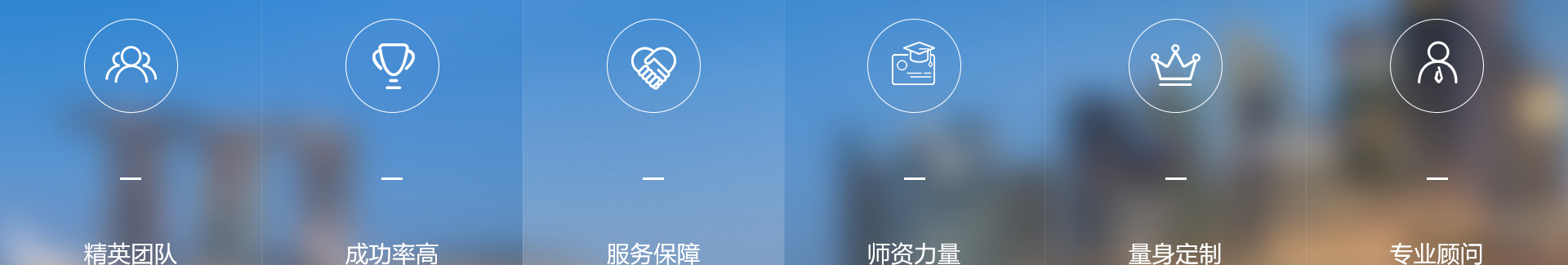 中鑫海外集團_集團網站建設案例_洛壹網絡建站案例