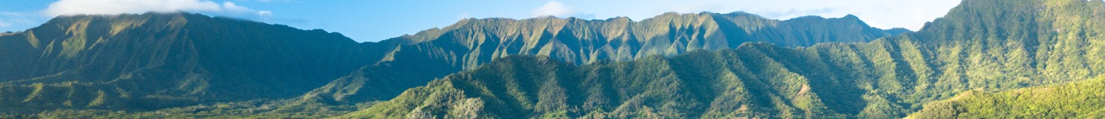 方圓環(huán)?？萍糭智慧環(huán)保網(wǎng)站建設(shè)_洛壹建站案例