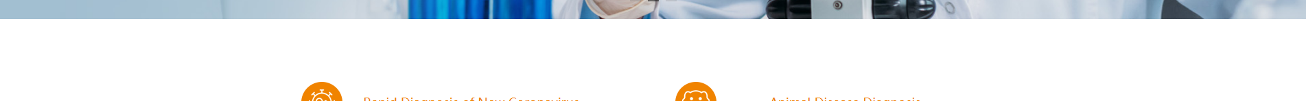 深圳網(wǎng)站設計公司_響應式網(wǎng)站_外貿(mào)網(wǎng)站_深圳網(wǎng)站建設