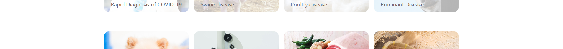 深圳網(wǎng)站設計公司_響應式網(wǎng)站_外貿(mào)網(wǎng)站_深圳網(wǎng)站建設