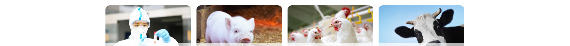 深圳網(wǎng)站設計公司_響應式網(wǎng)站_外貿(mào)網(wǎng)站_深圳網(wǎng)站建設